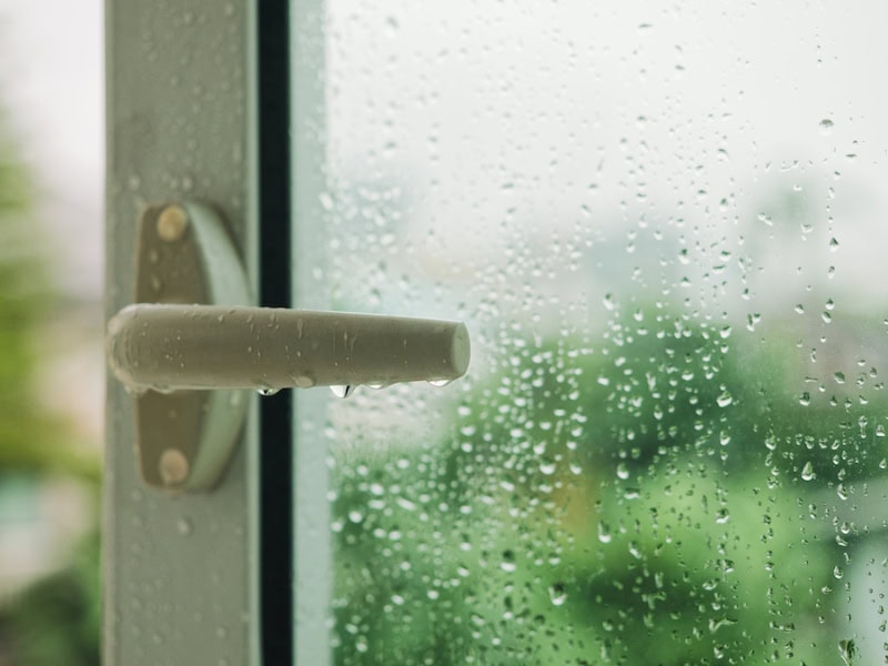 Don't Let Your Home Sweat It Out: A Illinois Guide to Humidity Control. Raindrop on window with Handle Blur tree background Rainy Season.